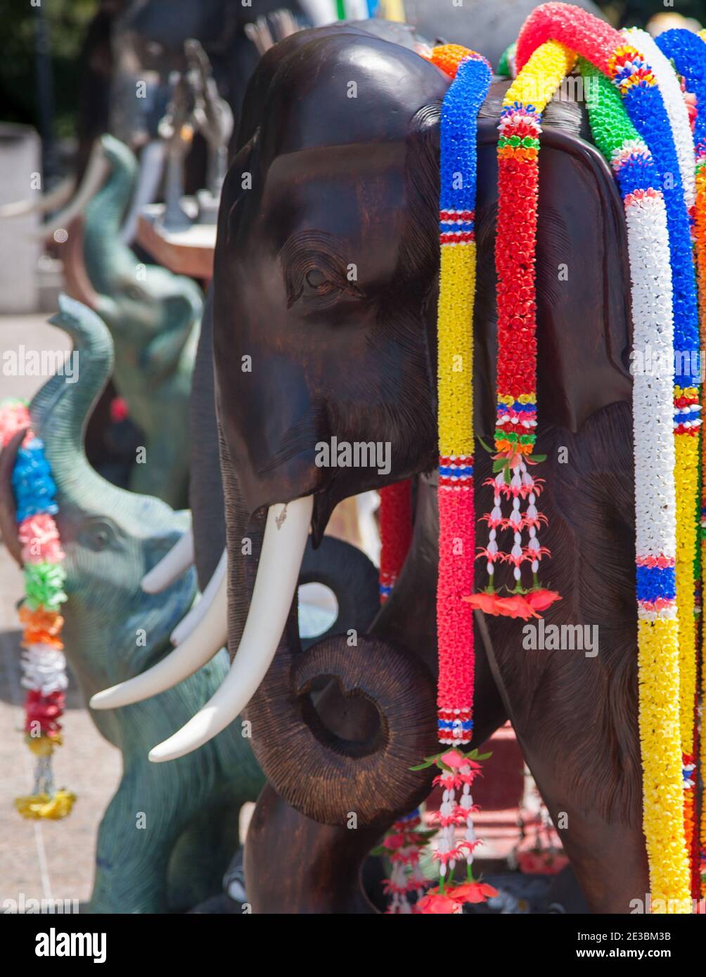 Decorated elephant thailand asia hires stock photography and images