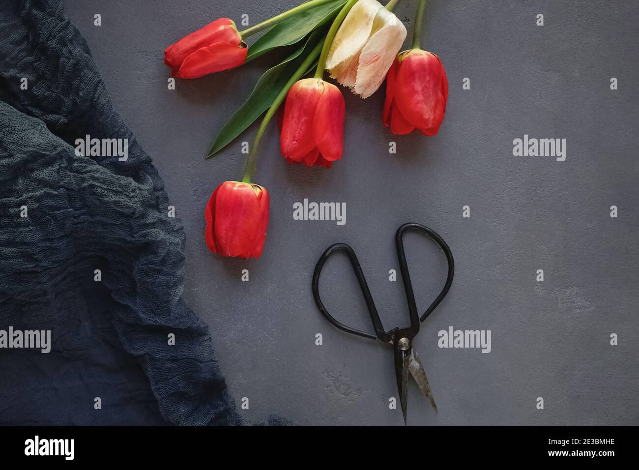 Red tulips on gray stone table Stock Photo