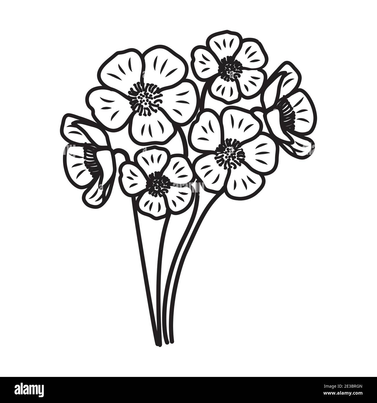 Buttercup Floral Hand Drawn. Vector Design Illustration Sign Logo