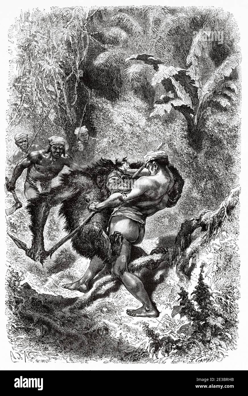 Dyak fitghting an Orang-Utan in Borneo jungle, Indonesia, Asia. Old engraving illustration, The Malay Archipelago by Alfred Russell Wallace Stock Photo