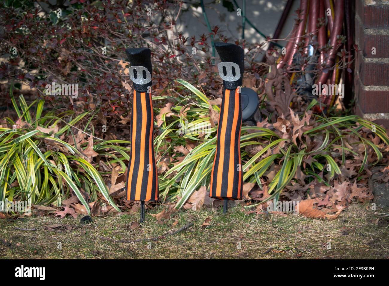 A funny lawn ornament that makes it appear that someone is buried with their feet sticking out of the ground. In Queens, New York. Stock Photo