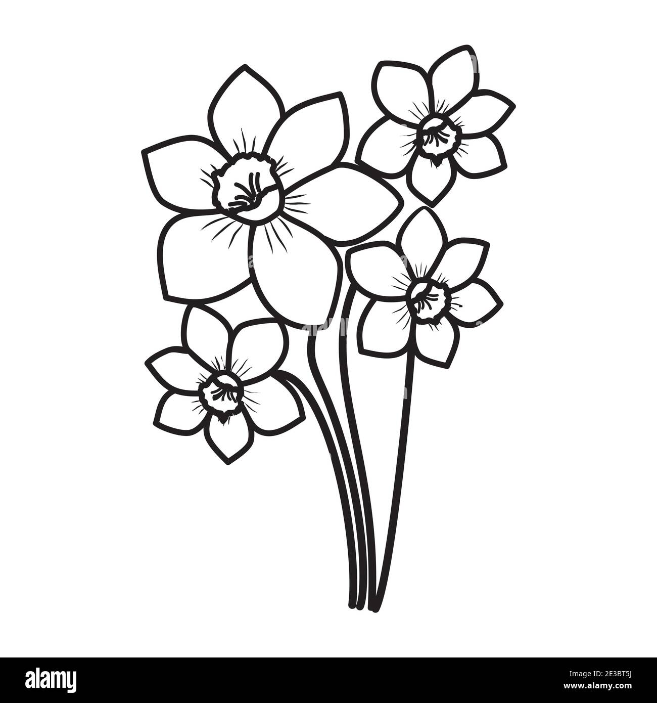 Daffodils Floral Hand Drawn. Vector Design Illustration Sign Logo Stock Vector Image & Art Alamy