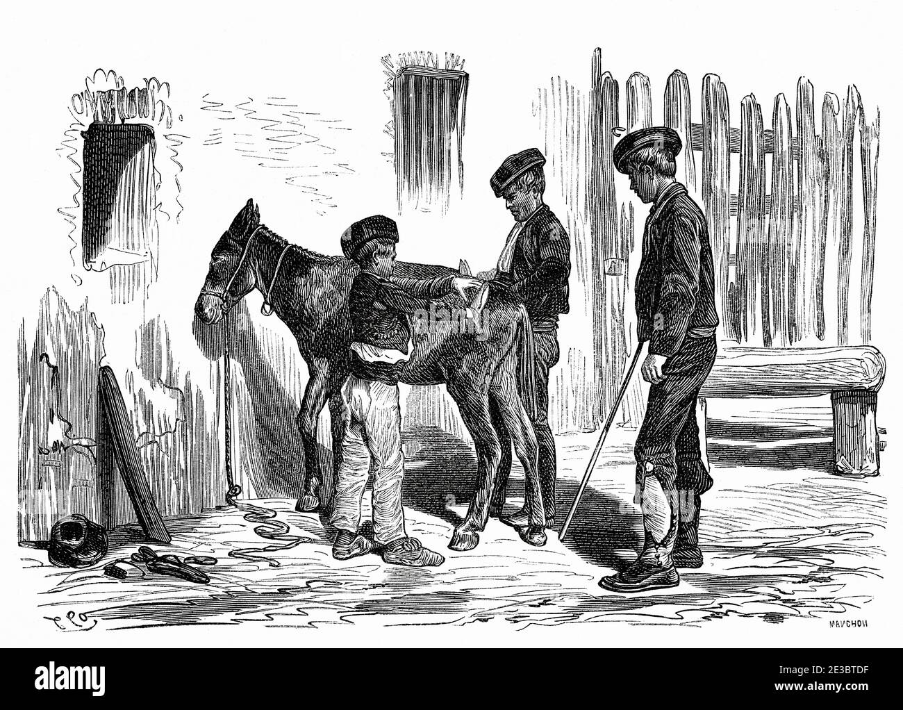 Gypsies from Cordoba shearing a donkey, Andalusia, Spain, Europe. Old 19th century engraved illustration, El Mundo en la Mano 1878 Stock Photo