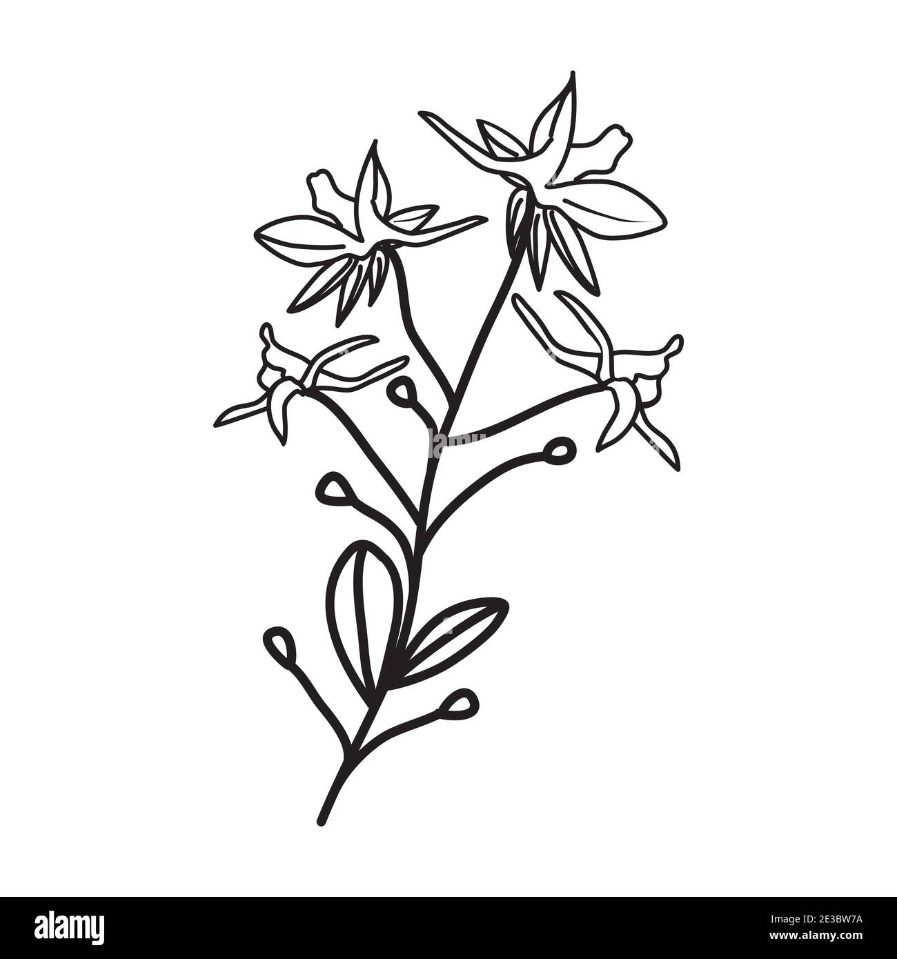 Larkspur Floral Hand Drawn. Vector Design Illustration Sign Logo Stock