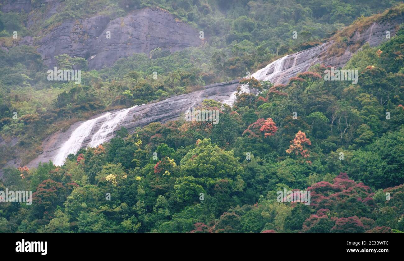Spectacular waterfall among tropical humid mountain forests (hylea ...