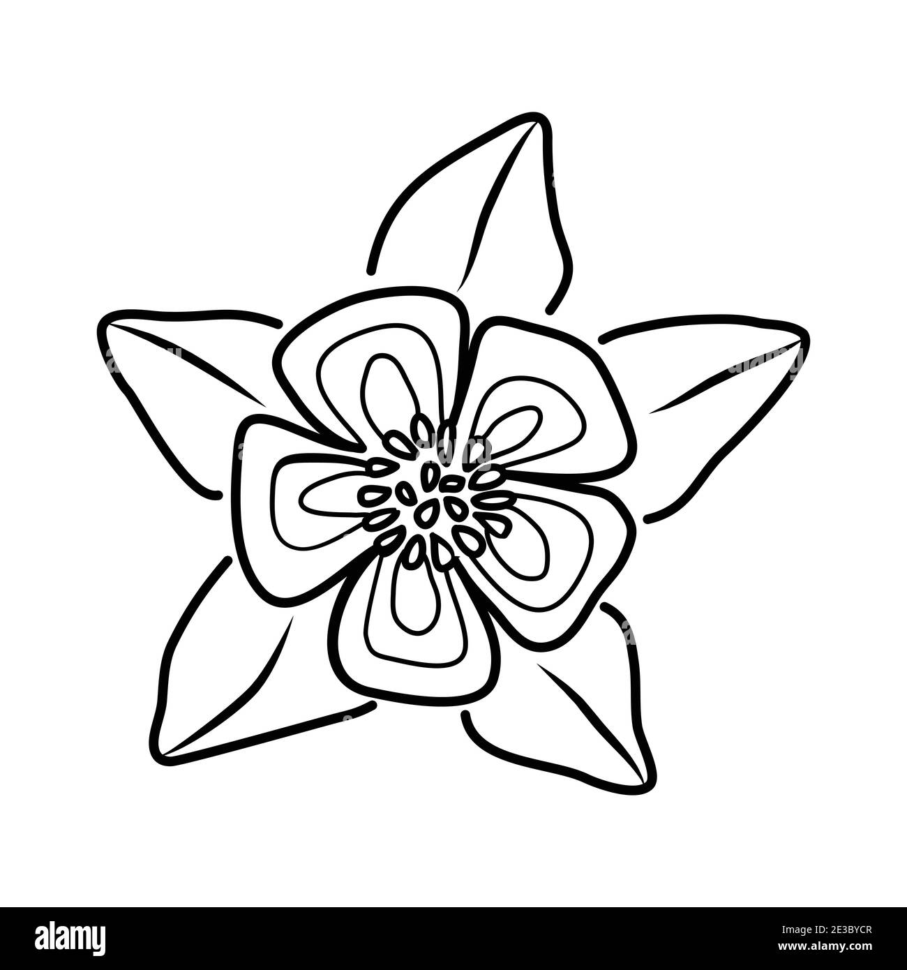 Columbine Flower Floral Hand Drawn. Vector Design Illustration Sign Logo. Stock Vector