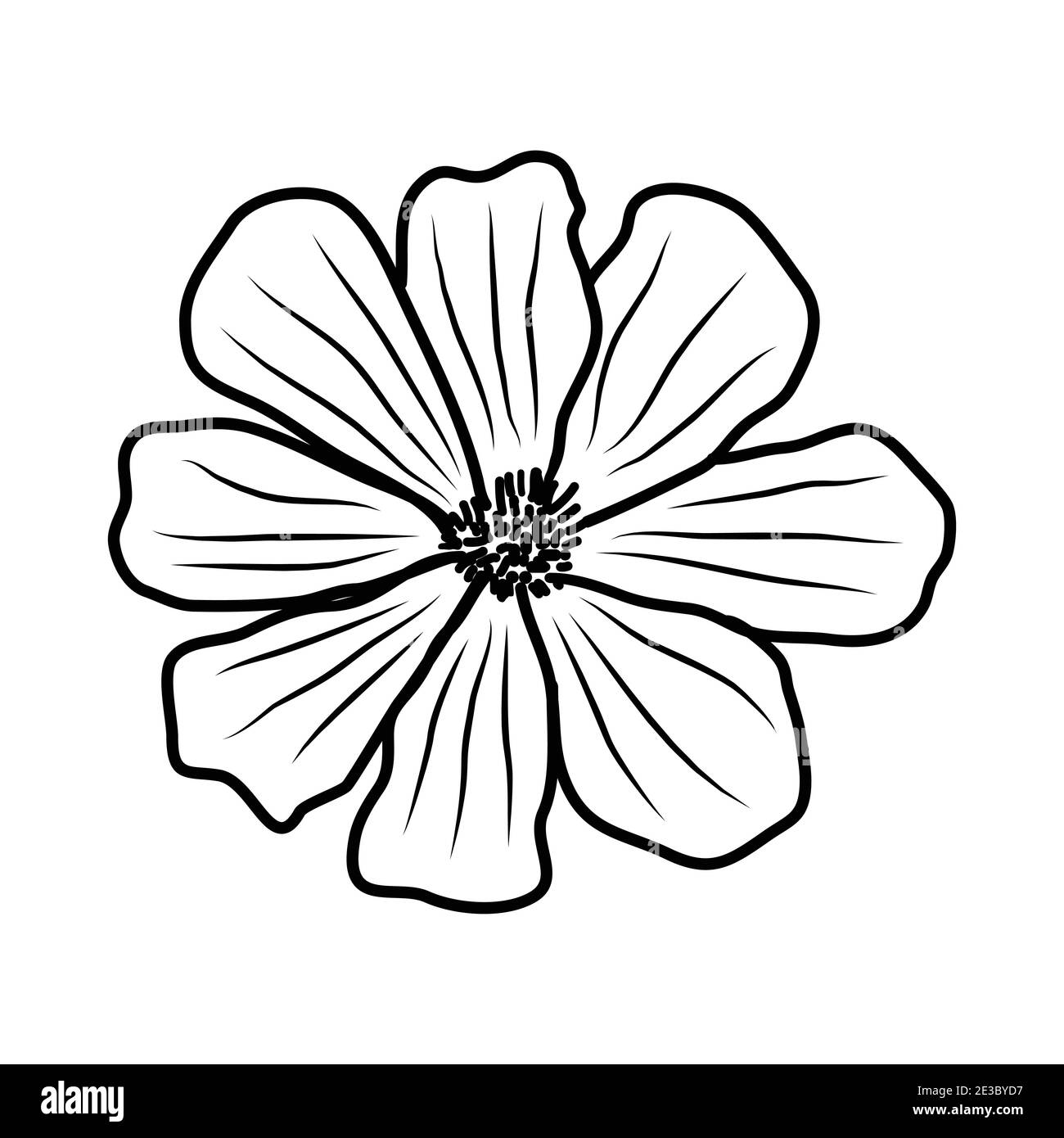 Cosmos flower vector Black and White Stock Photos & Images - Alamy
