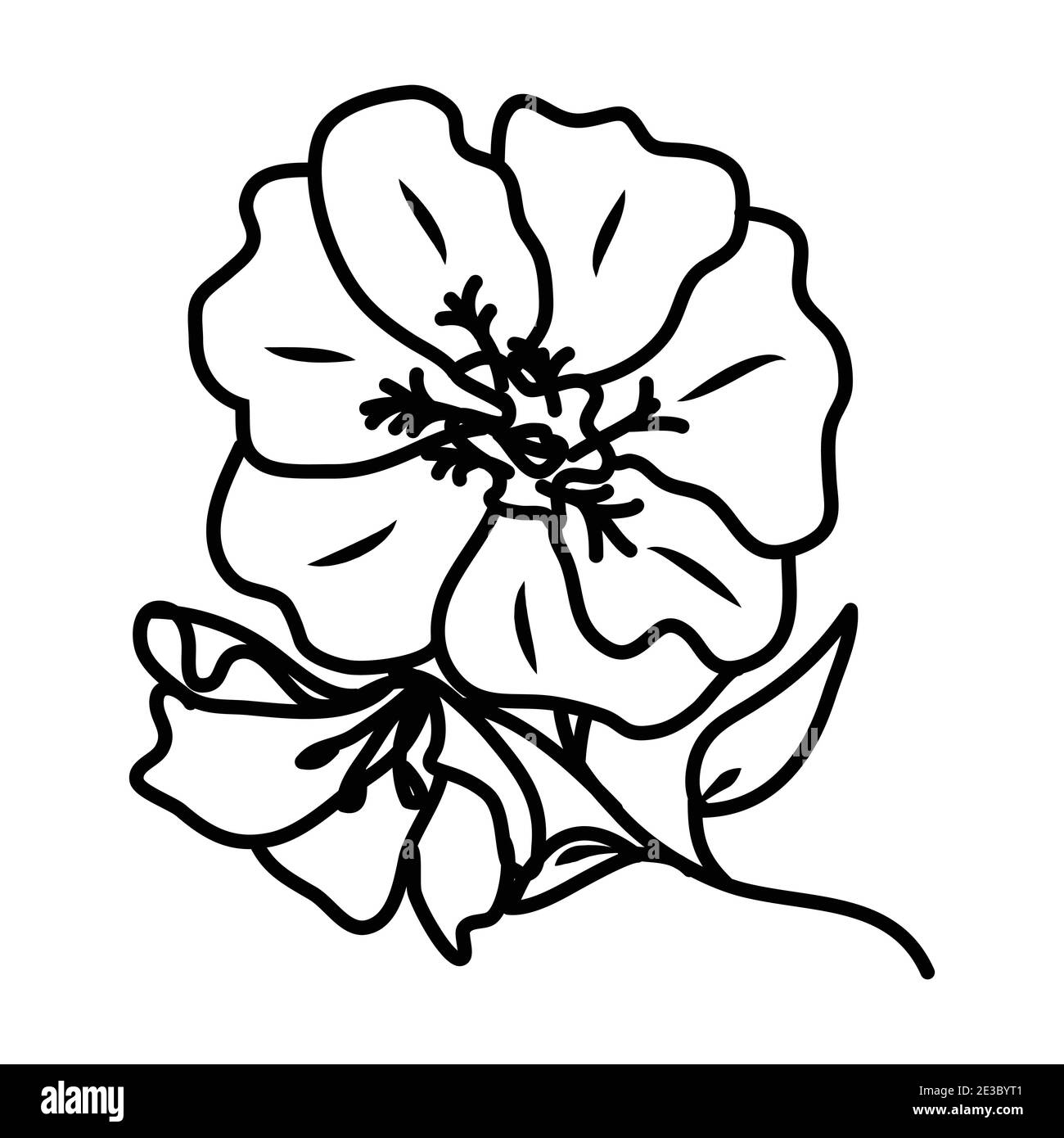 Geranium autumn Black and White Stock Photos & Images Alamy