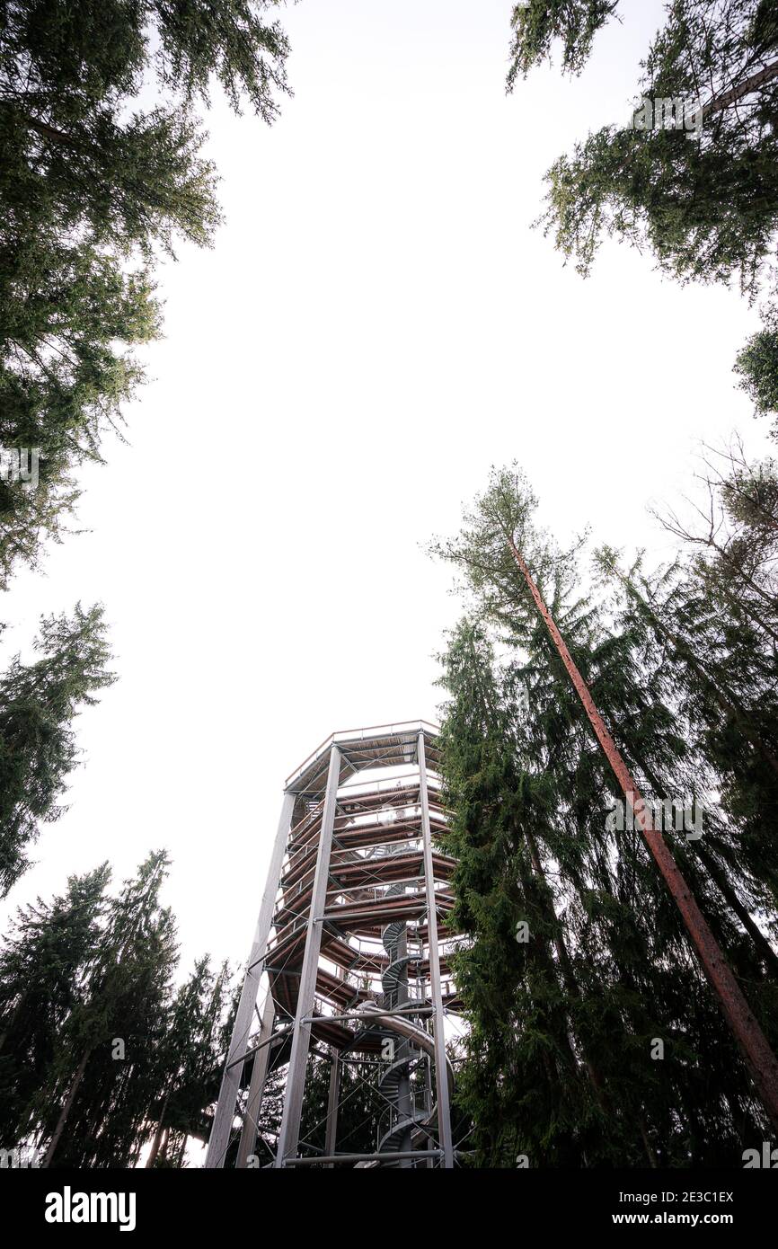 Treetop walkway tower in Lipno nad Vltavou (stezka korunami stromu) Stock Photo