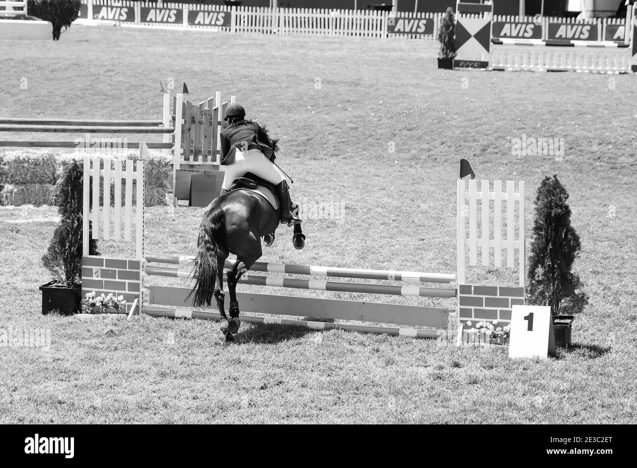 JOHANNESBURG, SOUTH AFRICA Jan 06, 2021 Johannesburg, South Africa