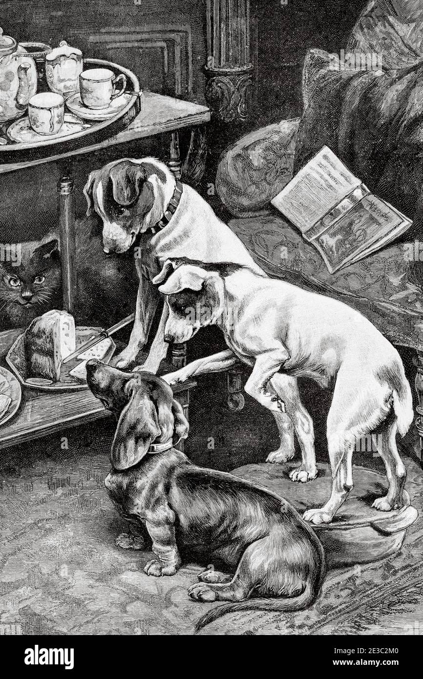 Dog scenes paintings by Fannie Moody (1861-1948) British painter. Old XIX century engraved illustration from La Ilustracion Española y Americana 1894 Stock Photo