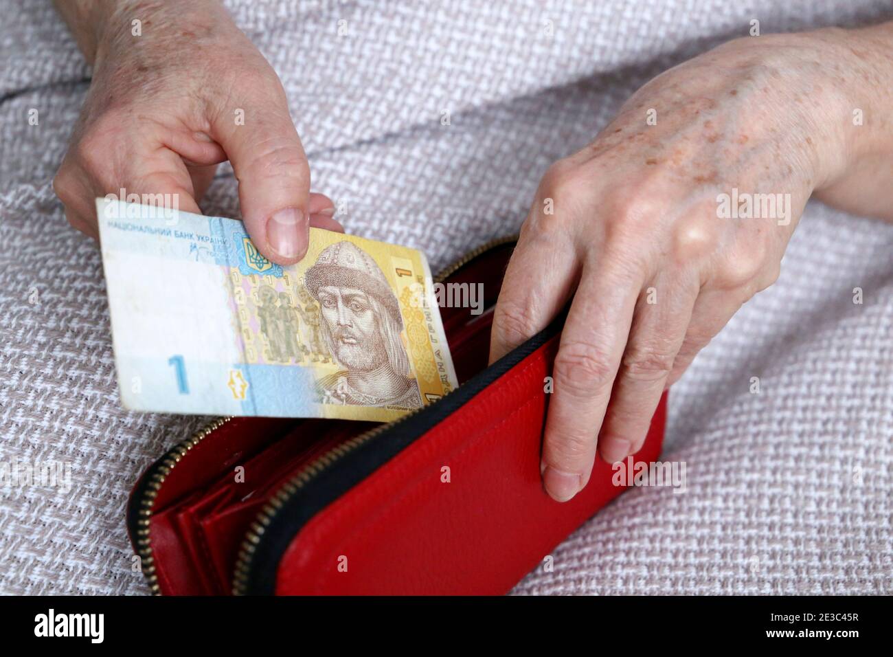 Elderly woman takes out ukrainian hryvnia from her wallet. Concept of pension payments in Ukraine, savings at retirement, poverty Stock Photo