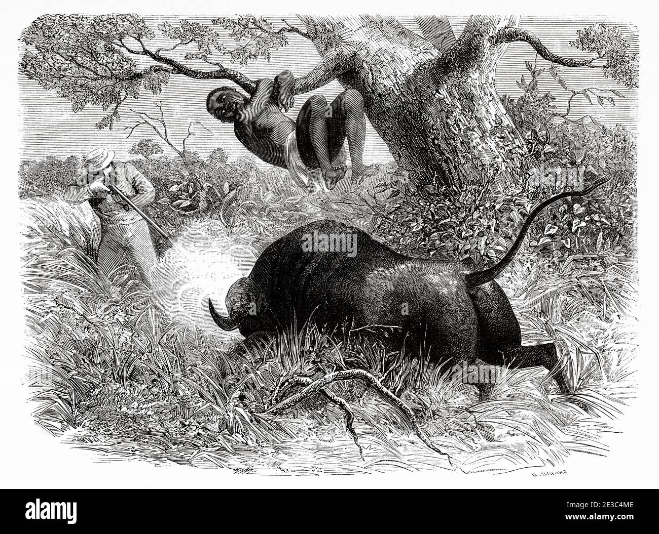 The famous explorer Captain John Hanning Speke shooting a buffalo, Tanzania, Africa. Old XIX century engraved from Le Tour du Monde 1864 Stock Photo