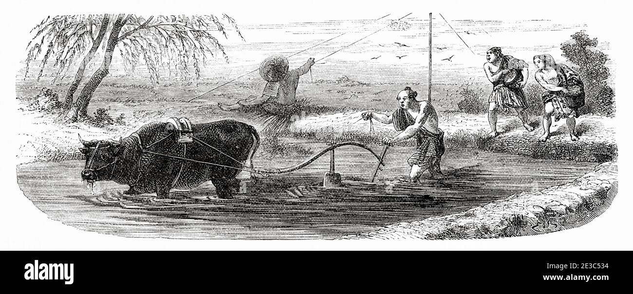 Plowing, rice cultivation, Japan. Old 19th century engraved illustration Travel to Japan by Aime Humbert  from El Mundo en La Mano 1879 Stock Photo