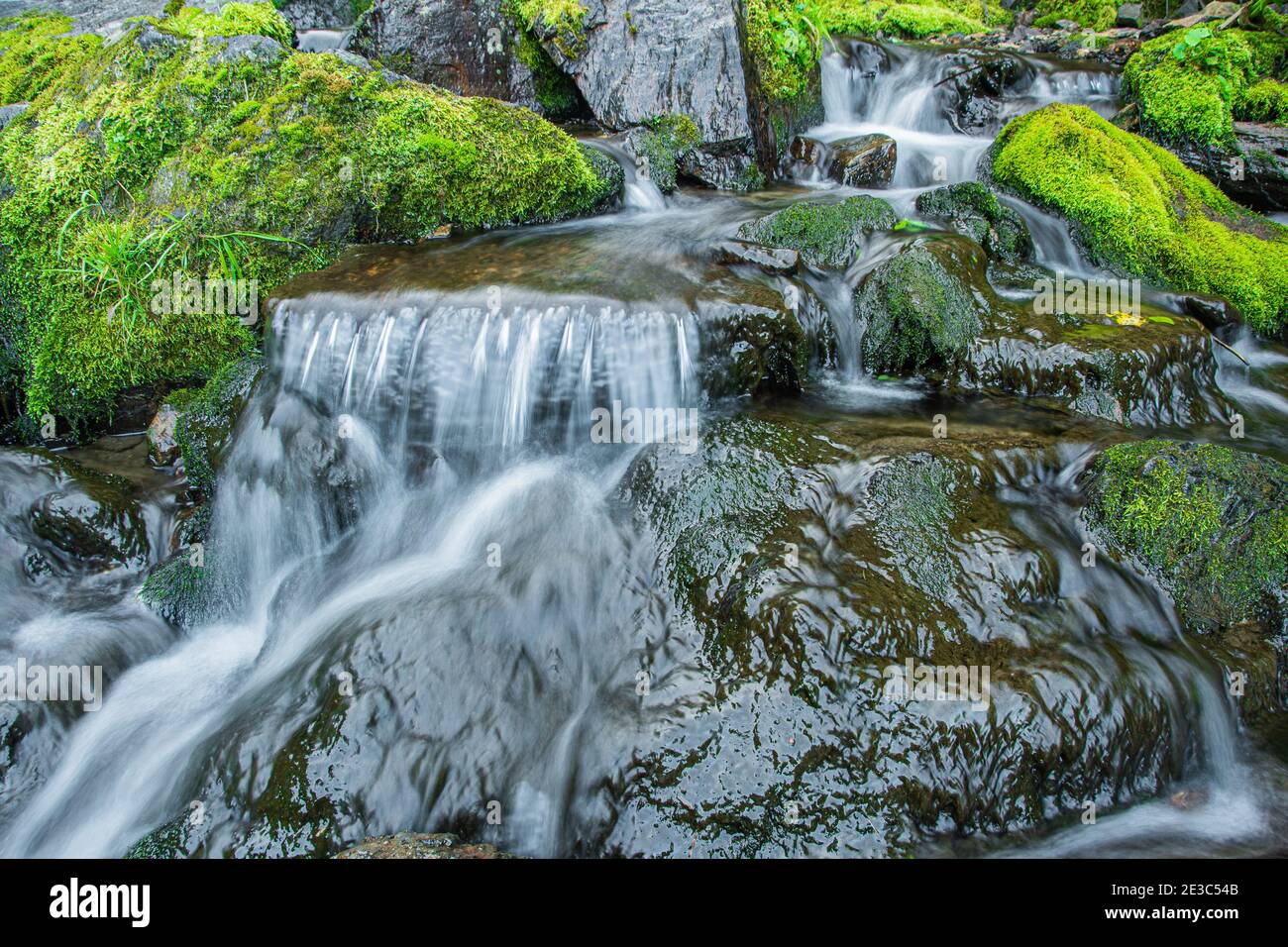 Stormy stream among rocks and boulders in forest valley. Mountain river. Stock Photo