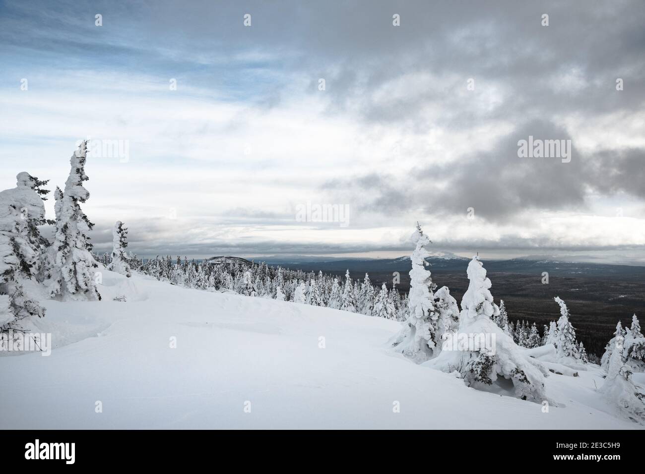 Frosted forest on snow covered stone mountain range Stock Photo