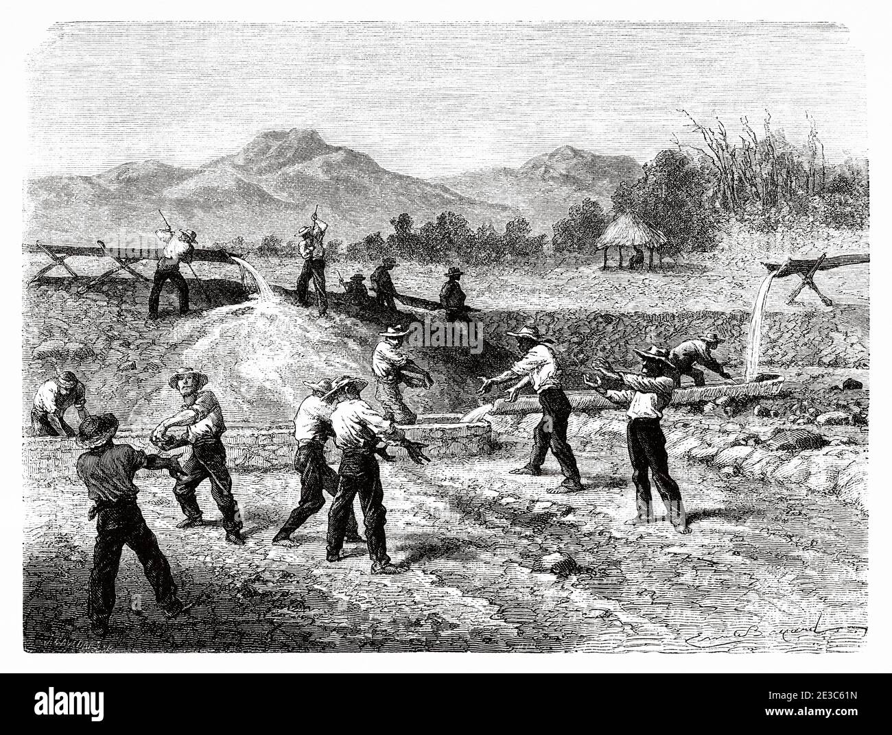 Miners working on alluvial gold exploitation, Cauca Department, Colombia. Old 19th century engraved illustration. Travel to New Granada by Charles Saffray from El Mundo en La Mano 1879 Stock Photo