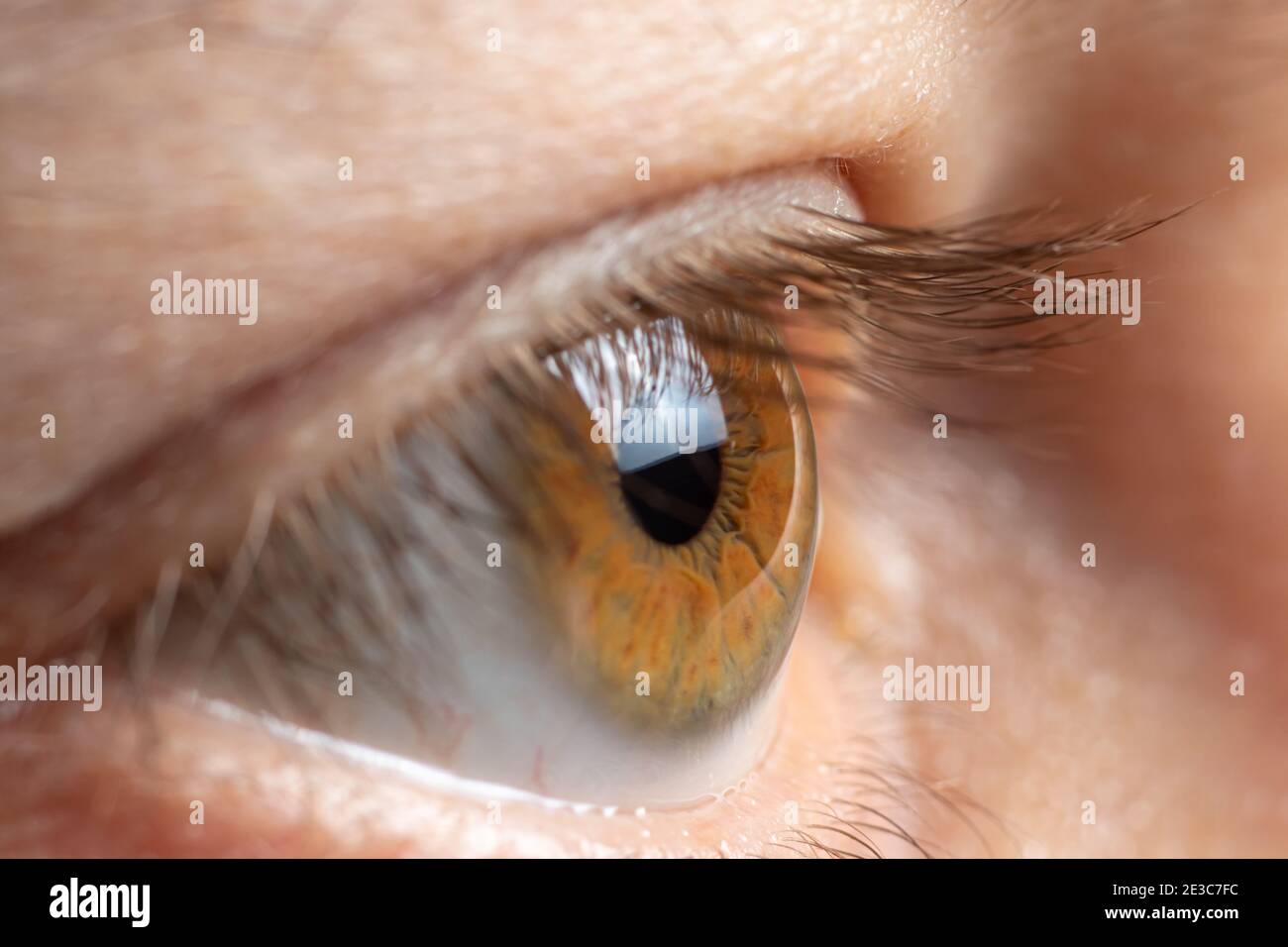 A healthy man's eye is a close-up macro photo. Ophthalmology Stock Photo