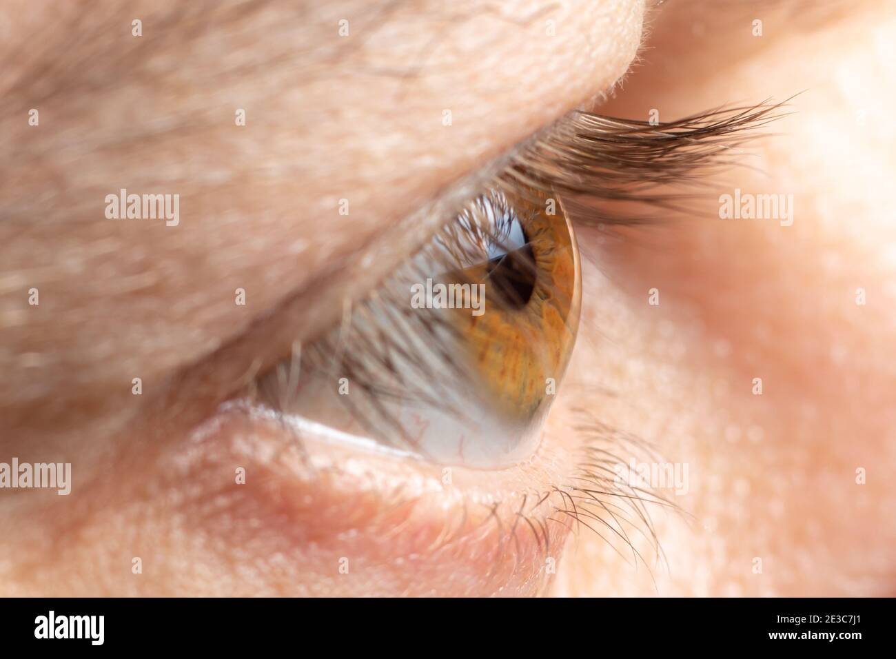 Healthy human eye, normal cornea macro photo. Man's eyelashes, look. For ophthalmological clinic, farsightedness, myopia. Stock Photo