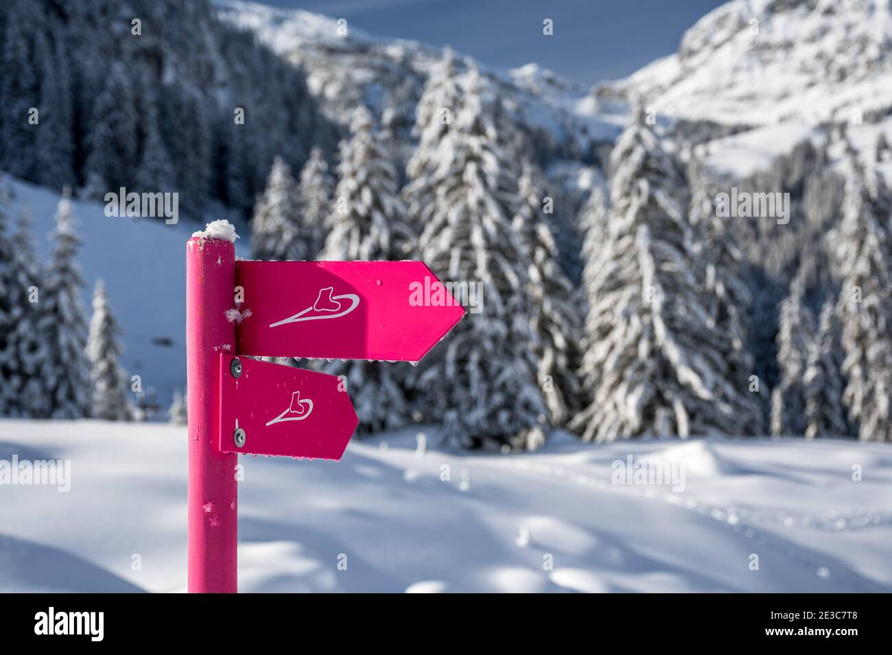 snowshoe hiking trail in Diemtigtal, Berner Oberland Stock Photo Alamy