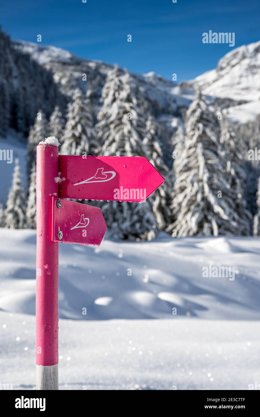 snowshoe hiking trail in Diemtigtal, Berner Oberland Stock Photo Alamy
