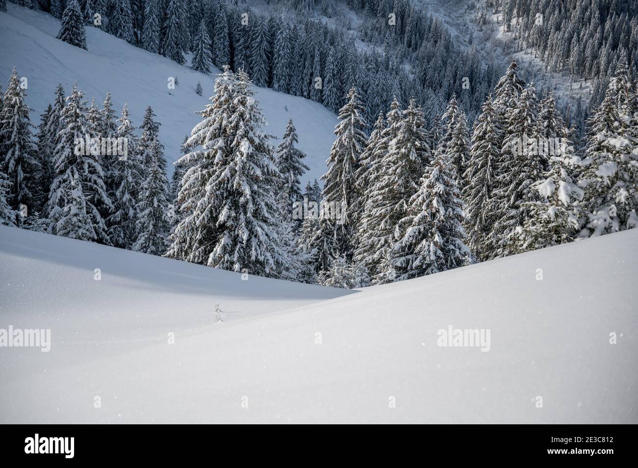 Winter In Diemtigtal, Berner Oberland Stock Photo - Alamy