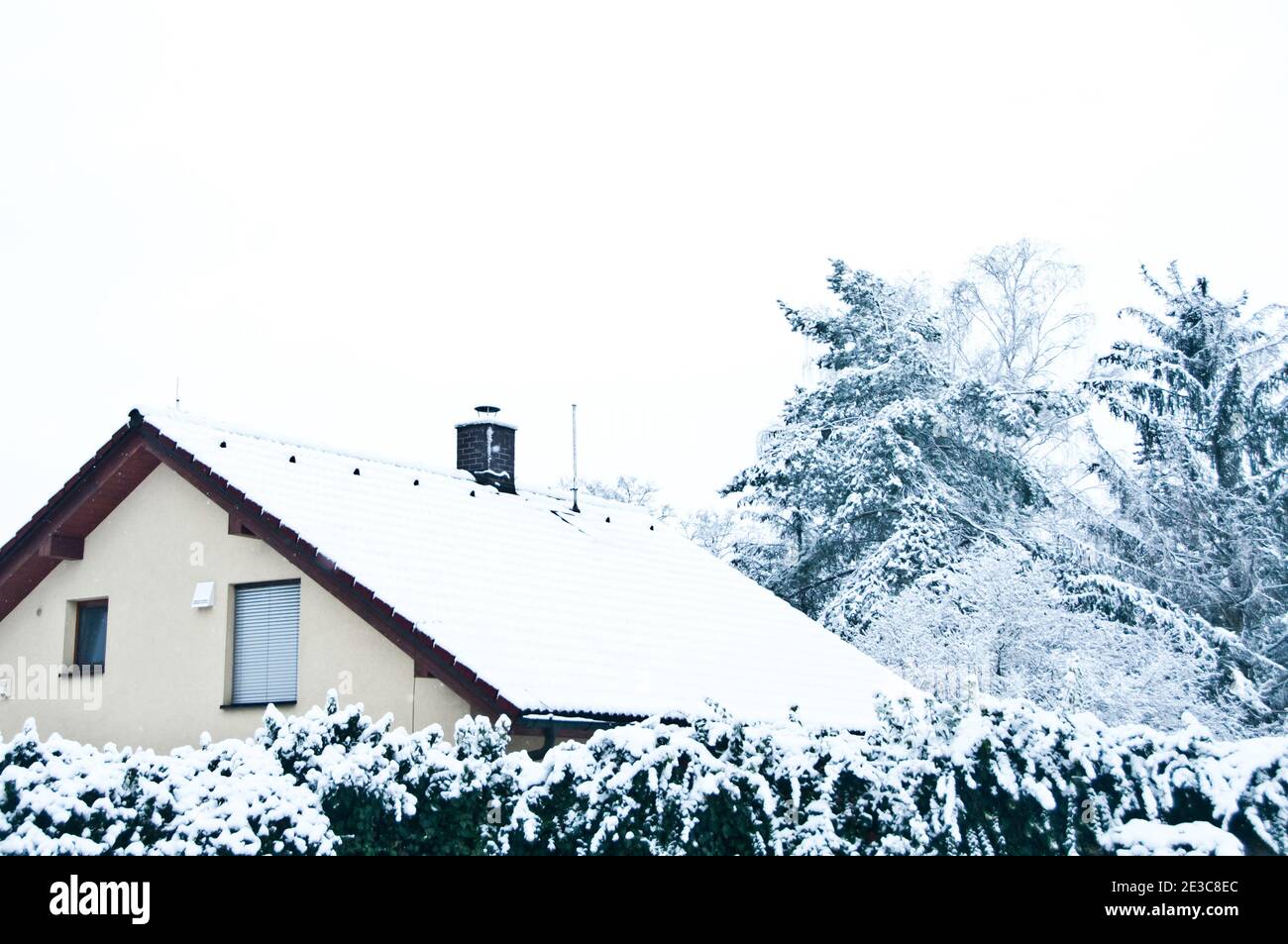 roof of a house and trees covered with snow Stock Photo - Alamy