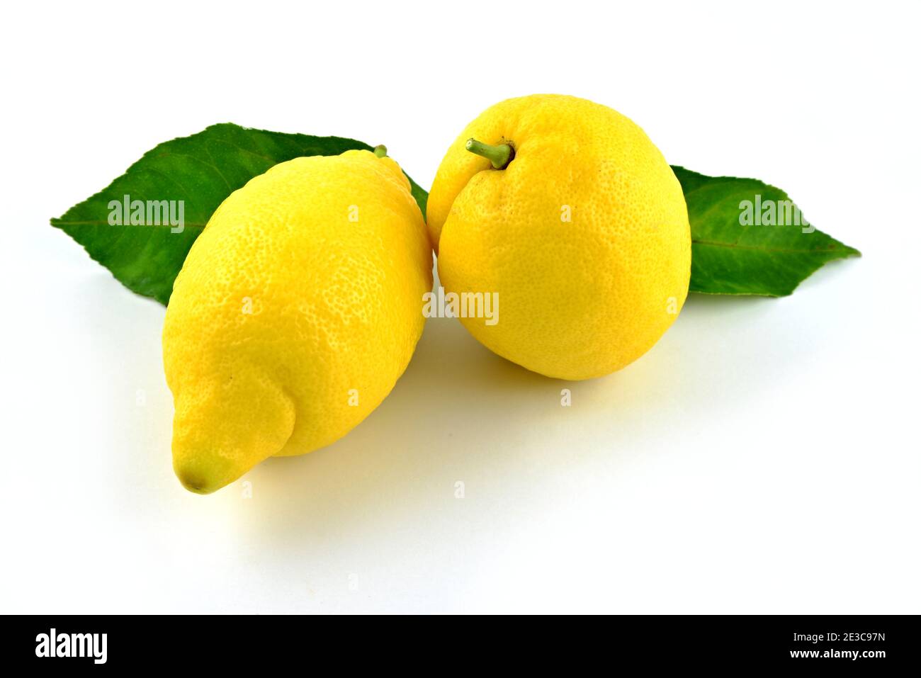 Two yellow lemons with green leaves on white background. Fresh citrus. Stock Photo