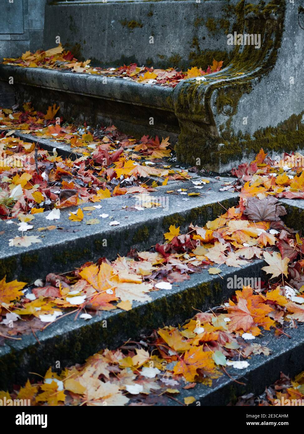 The old Catholic cemetery in the fall. Abandoned graves under a layer of fallen leaves. Stone steps and a bench in front of the entrance to the crypt. Stock Photo