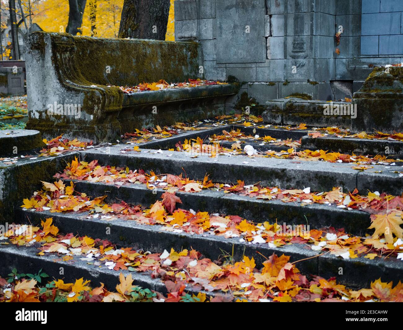 The old Catholic cemetery in the fall. Abandoned graves under a layer of fallen leaves. Stone steps and a bench in front of the entrance to the crypt. Stock Photo