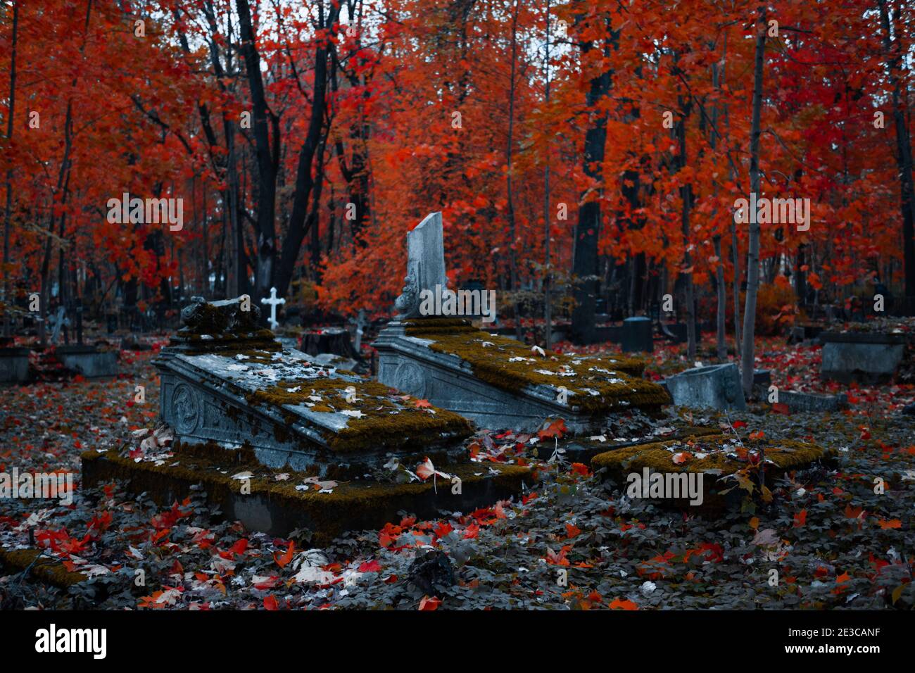The old Catholic cemetery in the fall. Abandoned graves under a layer of fallen leaves. Stock Photo