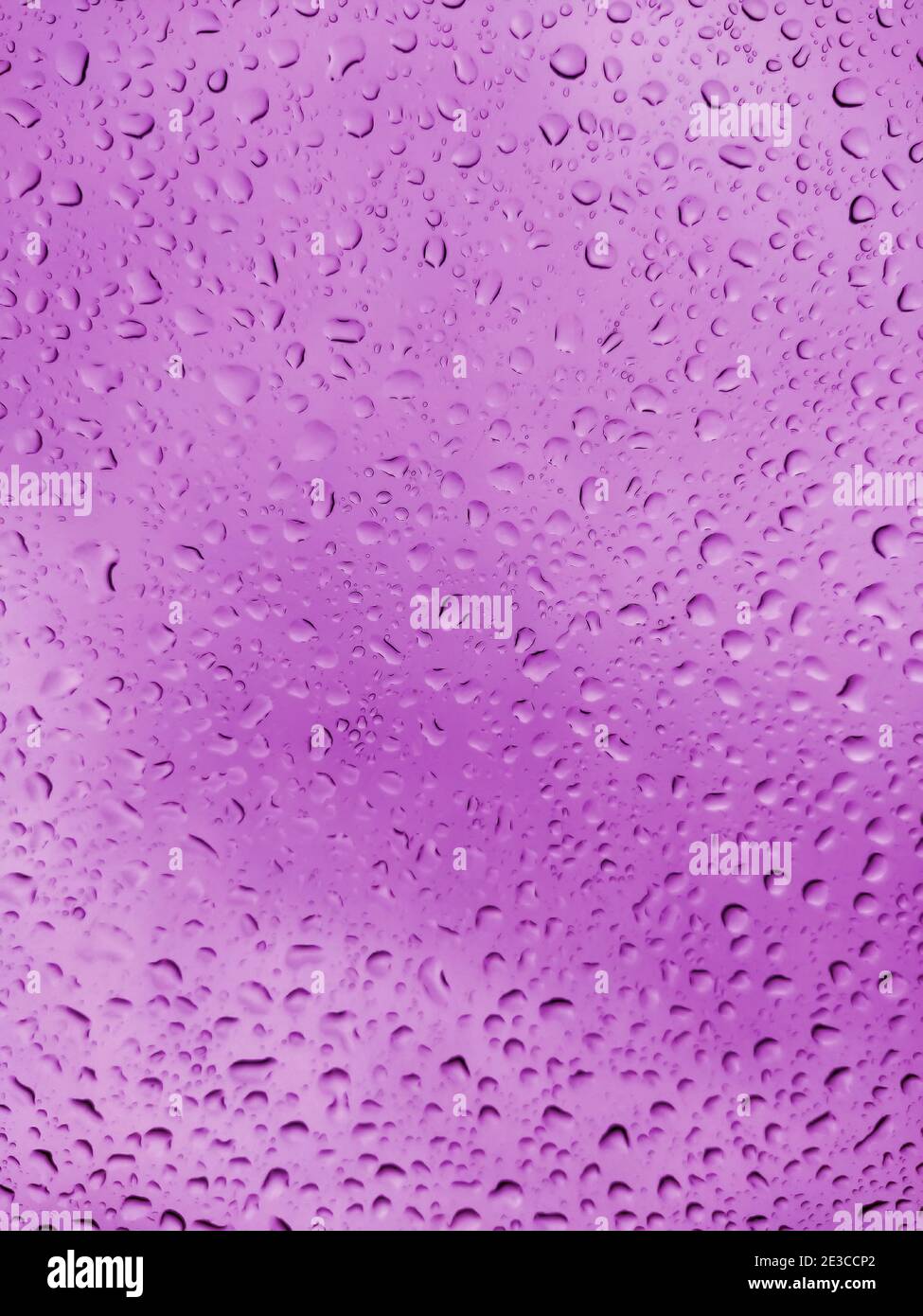 Abstract background with purple drops on the glass window Stock Photo ...