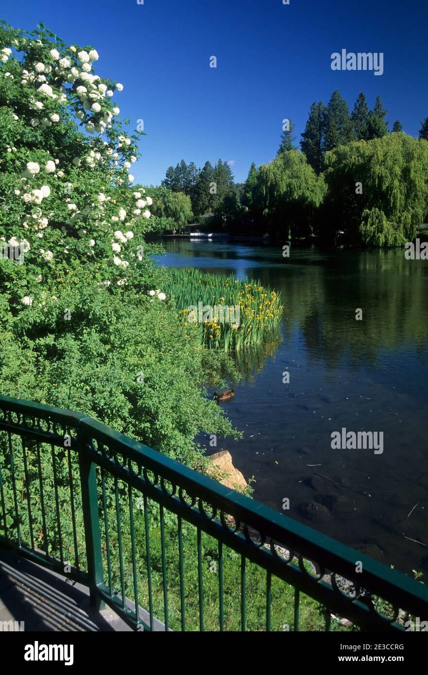 Mirror Pond, Drake Park, Bend, Oregon Stock Photo Alamy