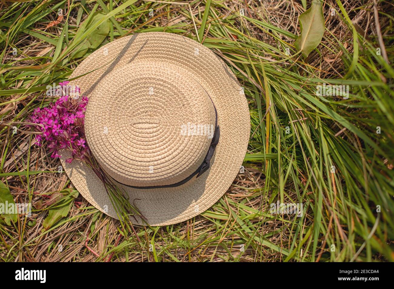 Straw Hat with a small bouquet of purple wildflowers on the green grass ...