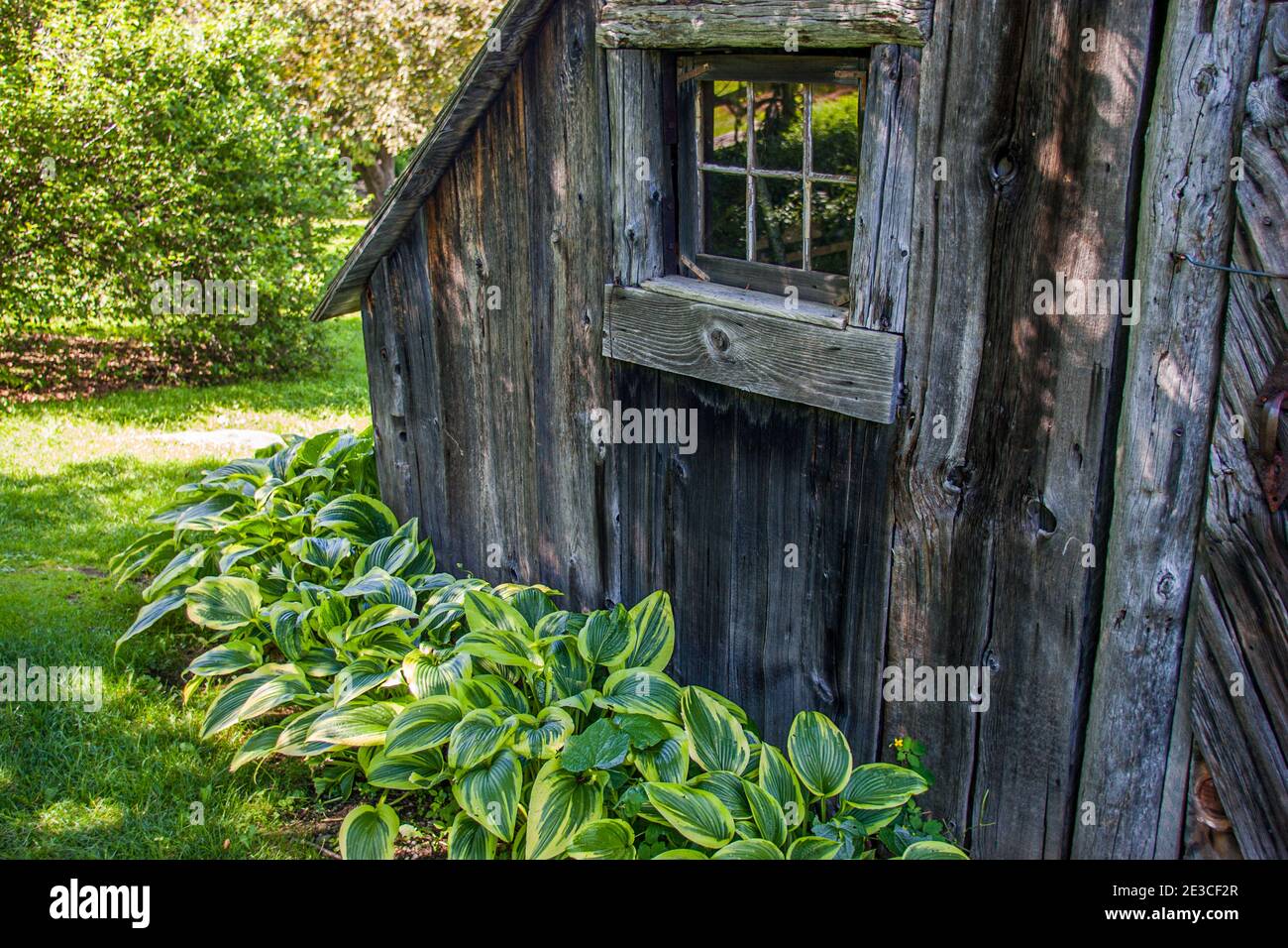 Old Shed Garden High Resolution Stock Photography and Images - Alamy