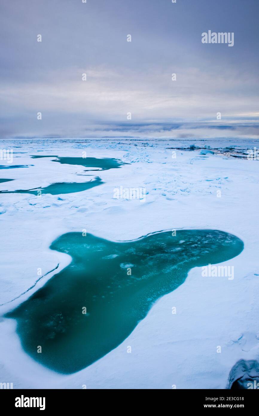 Arctic Sea Ice, Fram Strait, between Greenland and Svalbard, September 2009. In August 2012, Arctic sea ice hit a record minimum - this will affect we Stock Photo