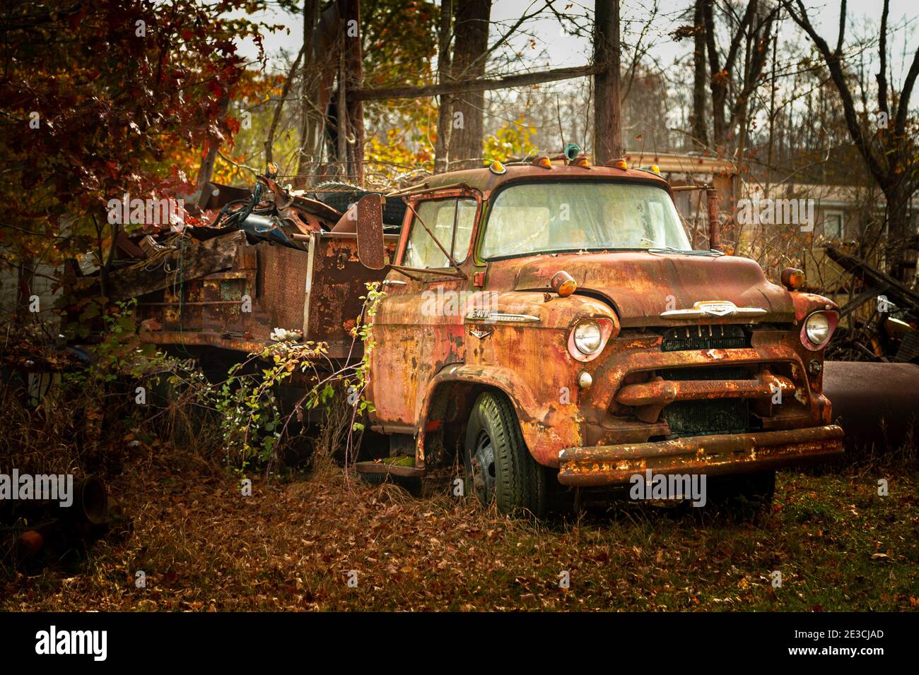 An old chevrolet grain truck rusts away in a junkyard for this fall scene.  This image was taken in western Jackson County, IN. Stock Photo