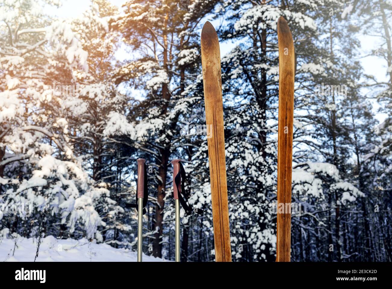 old wood backcountry skis with ski poles standing in the snow in snowy forest on sunny winter day. ski touring Stock Photo