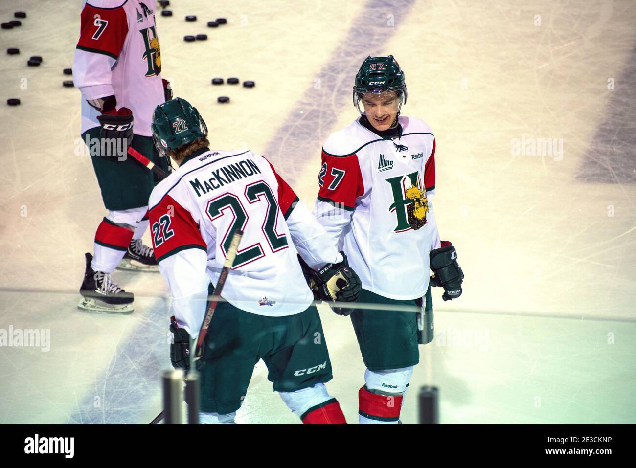 Halifax mooseheads hi-res stock photography and images - Alamy