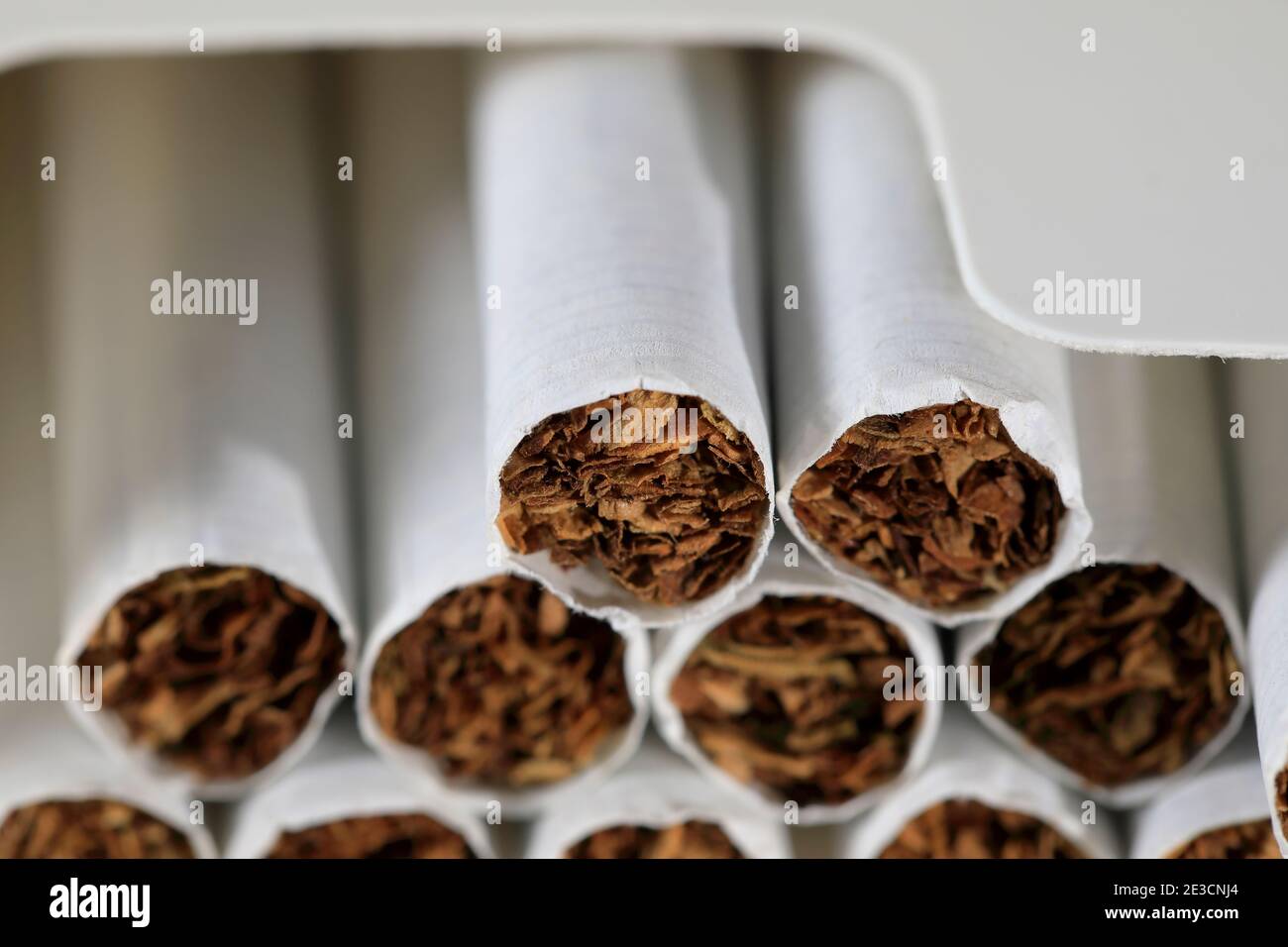 An open pack of cigarettes. There are several cigarettes without filter in  it Stock Photo - Alamy