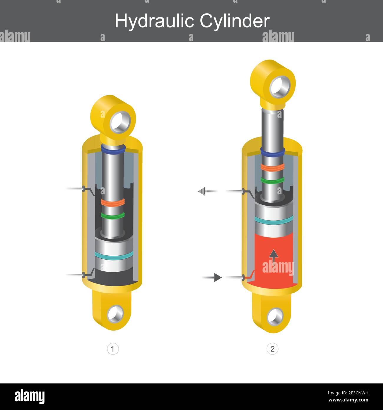 Hydraulic Cylinder. Illustration for the mechanical engineering use, it is explain a hydraulic cylinder parts or learning the benefit of oil pressure. Stock Vector