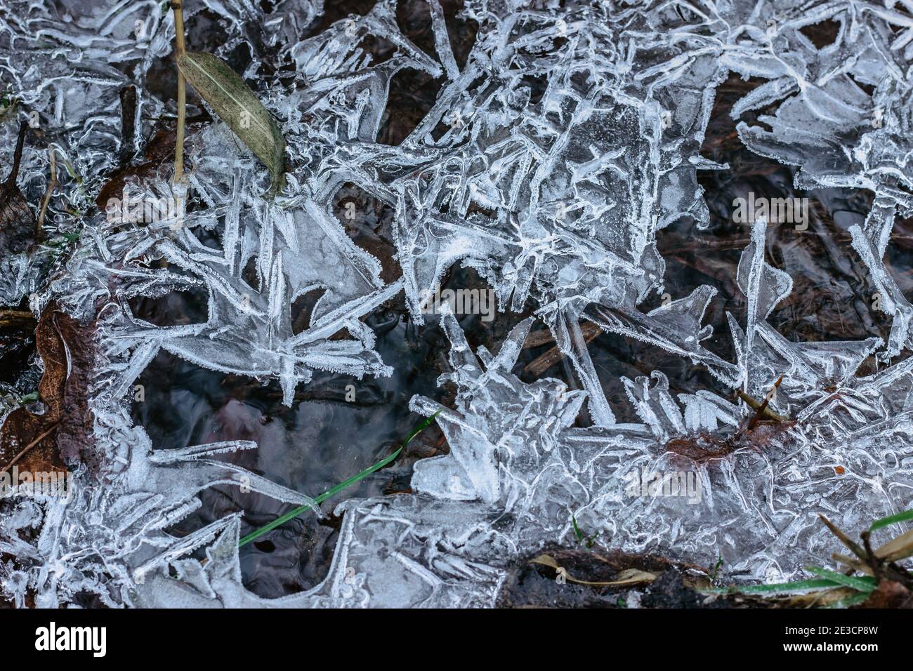 Abstract winter background, cracked ice on frozen puddle. Ice fragments on frozen water. The ice broken pieces.Ice on a frozen water puddle in winter Stock Photo