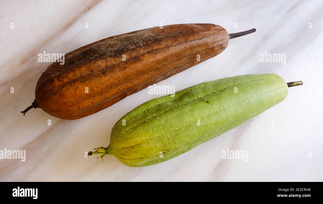 Two luffa fruits, one dried and brown in color, with another green in color. Stock Photo