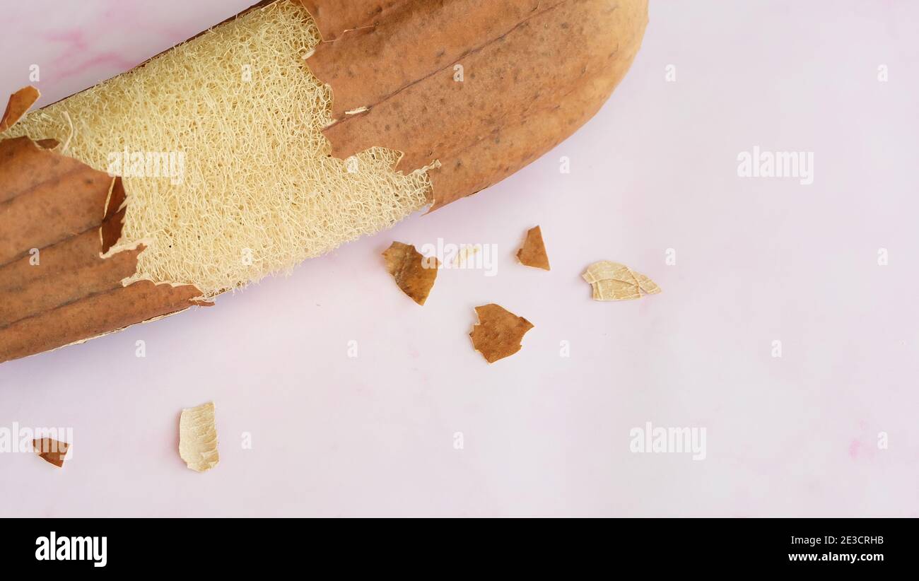 A dried luffa plant with the skin peeled away revealing the fibrous loofah inside. With pink marble background. Stock Photo