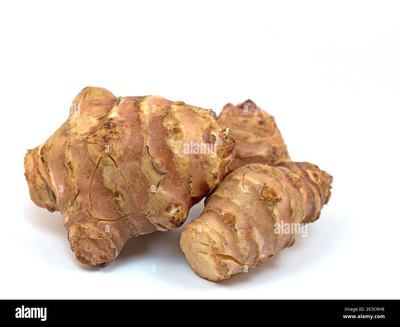 Spectacular Where Can I Buy Jerusalem Artichoke Abstract Digital Art Spectacular Where Can I Buy Jerusalem Artichoke Abstract Digital Art