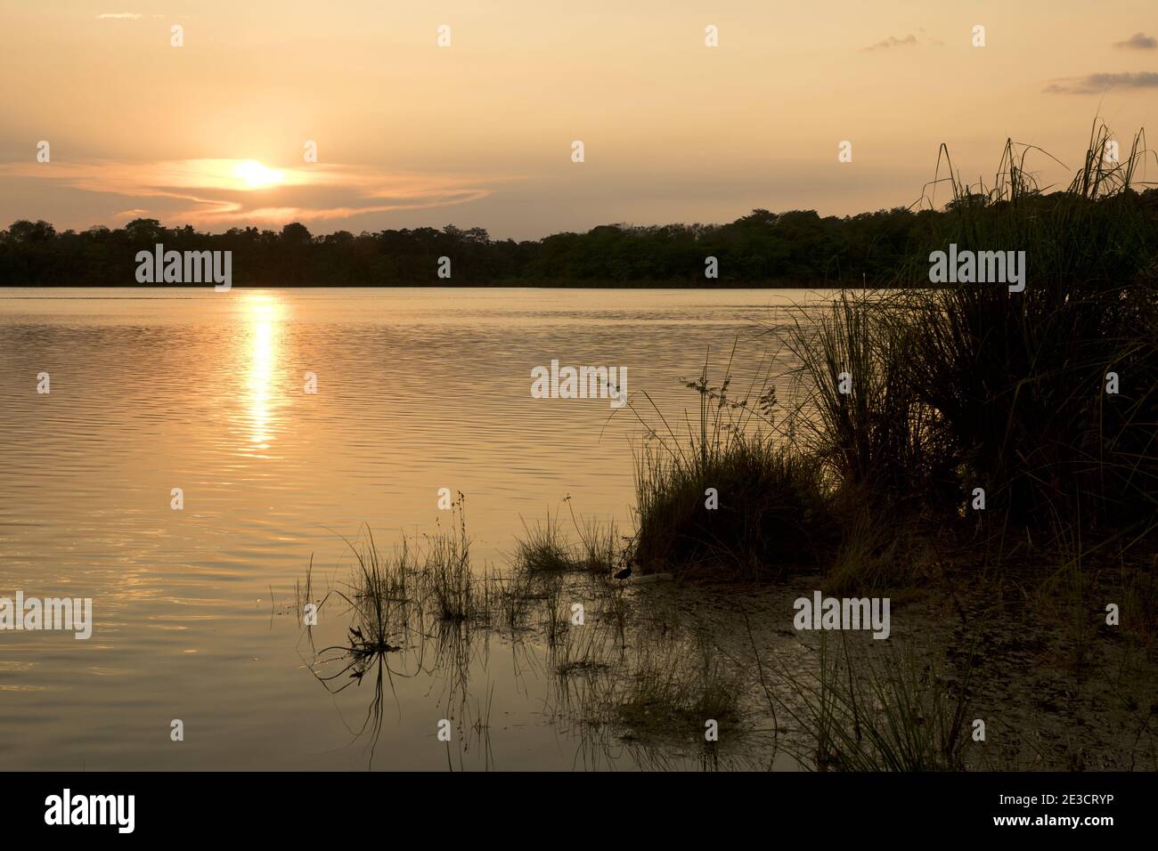 Guatemala, Central America: sunset at lake near Flores Stock Photo