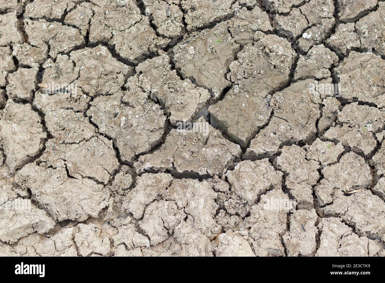 Cracked soil due to no rainfall and dry climate or drought. Stock Photo