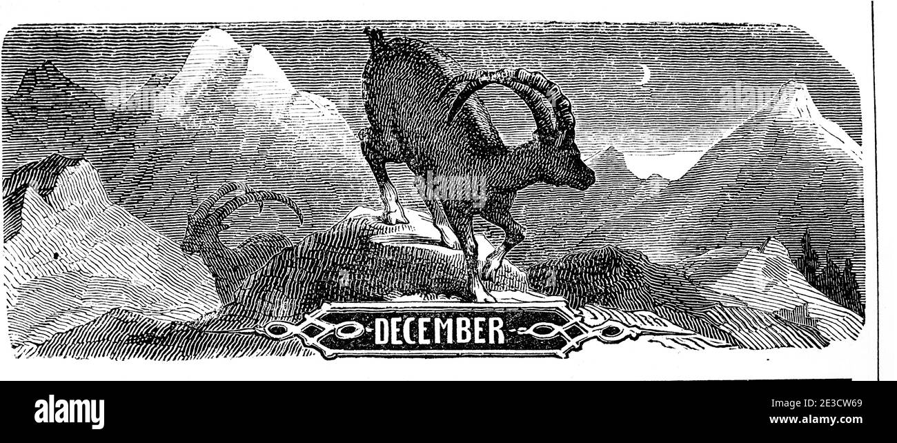 Month of December in the Illustrated Swiss Calendar of 1853  with the months of the year and corresponding motives, St. Gallen Switzerland 1853 Stock Photo