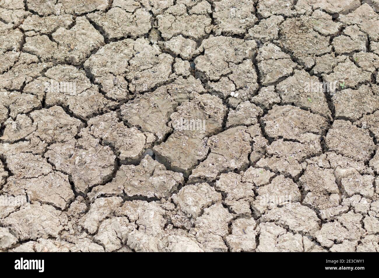 Cracked soil due to no rainfall and dry climate or drought. Stock Photo