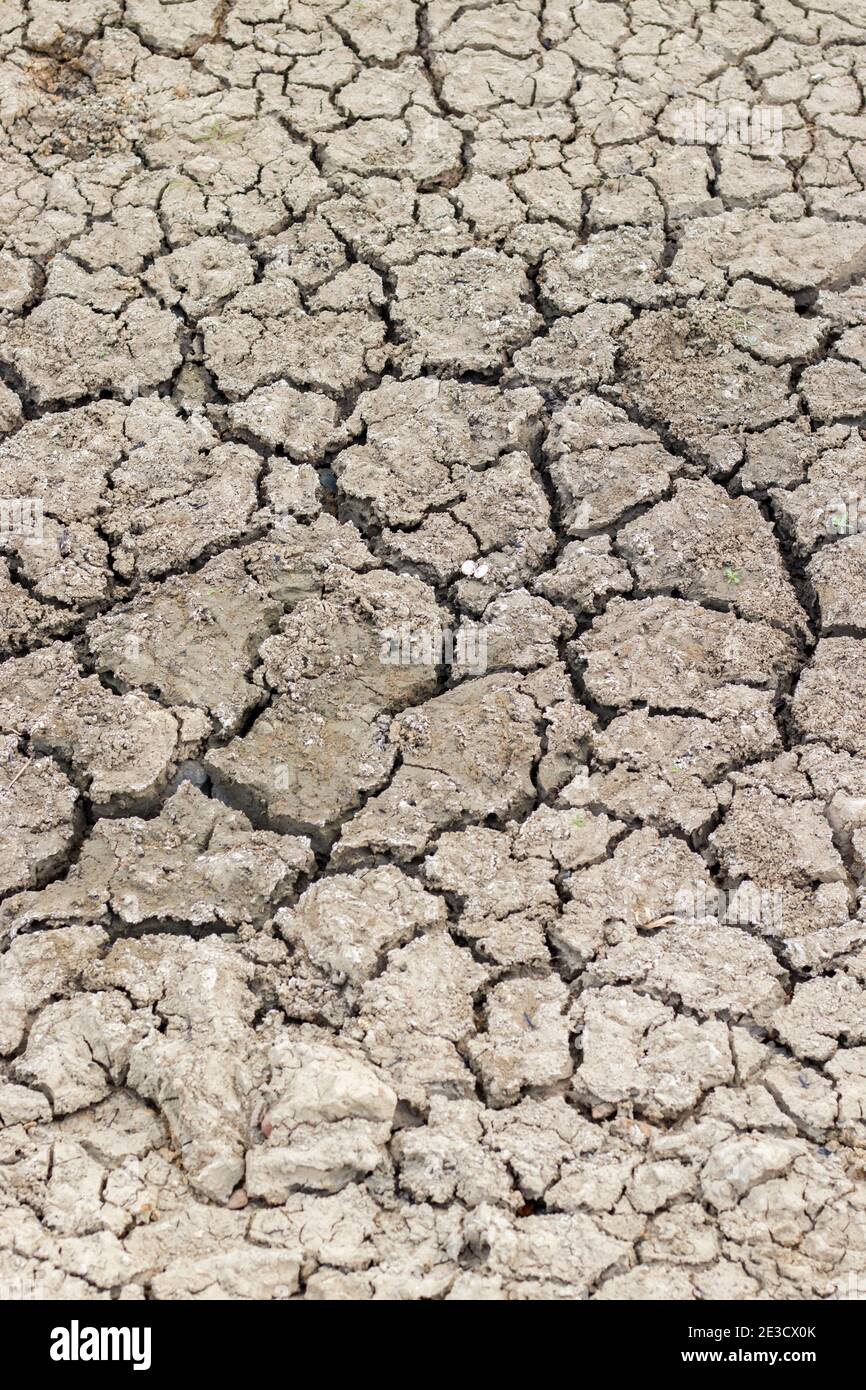 Cracked soil due to no rainfall and dry climate or drought. Stock Photo